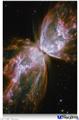 Poster 24"x36" - Hubble Images - Butterfly Nebula
