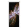 Hubble Images - Butterfly Nebula Door Skin (fits doors up to 34x84 inches)