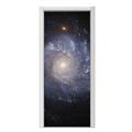 Hubble Images - Spiral Galaxy Ngc 1309 Door Skin (fits doors up to 34x84 inches)